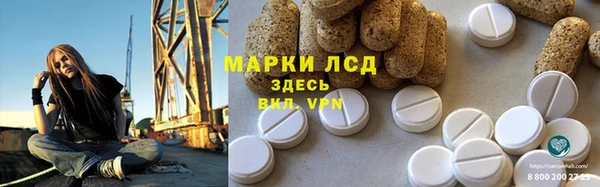 стафф Богданович