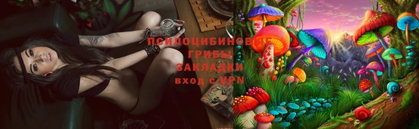 стафф Богданович