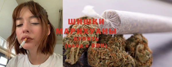 стафф Богданович