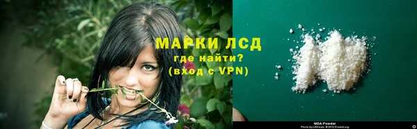 стафф Богданович