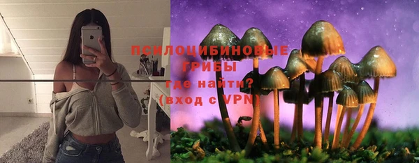 марки lsd Богородицк