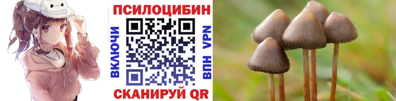 цена наркотик  Дегтярск  omg как войти  Галлюциногенные грибы мухоморы 
